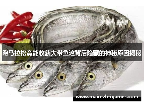 跑马拉松竟能收获大带鱼这背后隐藏的神秘原因揭秘